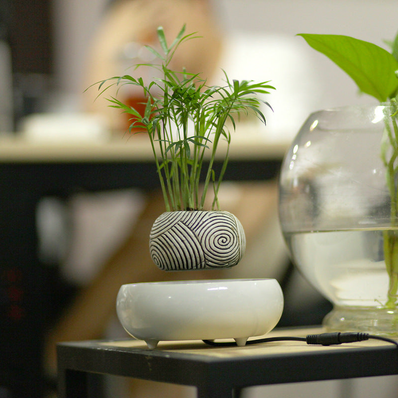 Modern Style Magnetic Levitation Potted Plant | Viral Vendorz