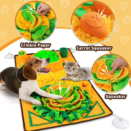 Interactive Pet training mat | Viral Vendorz