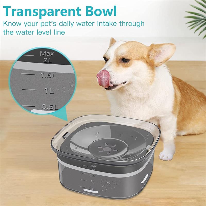 Transparent Water Bowl for Dog | Smart Home Pet Products | Viral Vendorz
