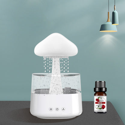 Rain Cloud Zen Diffuser